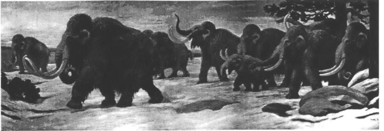 Figure 5.  Woolly  mammoth  herd near theSommeRiver  in  Ice Age  France. Mural paintedby  Charles Knightfor the American  Museum  of Natural History,  1916
