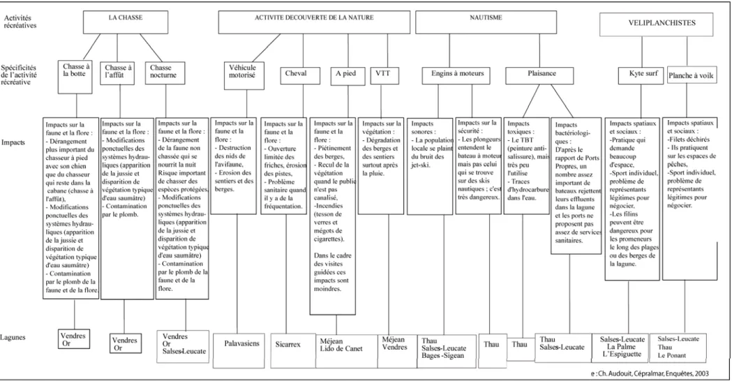 Figure 13 : Impacts des activités récréatives* sur le milieu social et environnemental des lagunes du Languedoc-Roussillon en 2003 