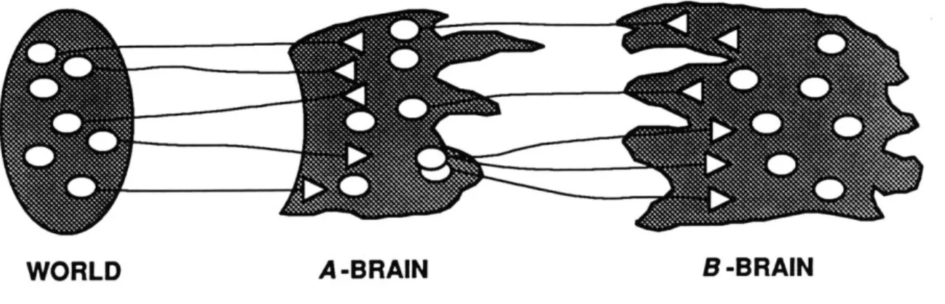 Figure  2.2:  A-  and  B-brains  (after  [Minsky87,  p.  59])