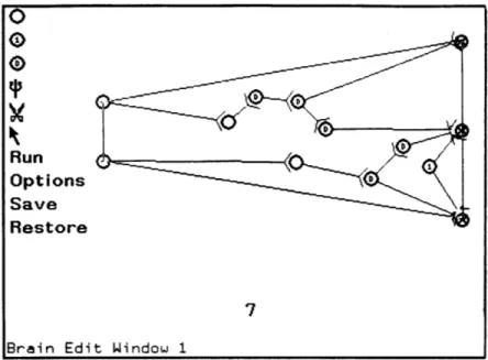 Figure  5.1:  The  turtle-wiring  window  from  BrainWorks