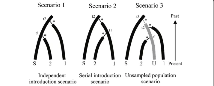 Figure 2 Evolutionary scenarios to illustrate model checking. The three presented scenarios are often compared when making ABC inferences on the routes of introduction of invasive species