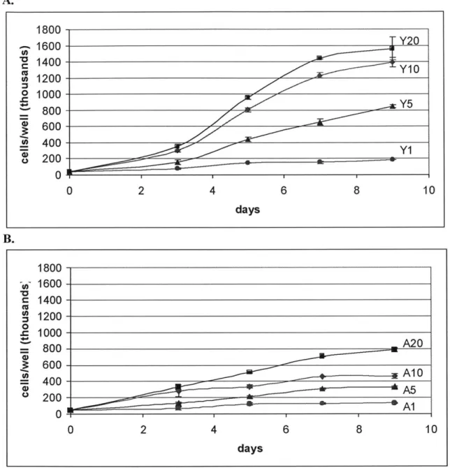 Figure 2.1  Young and Aged SMC  proliferation response  to  different  serum levels.  Both  graphs  are plotted on the same vertical  scale for clearer illustration  of impaired  proliferation capability  in  SMC  isolated  from aged rats