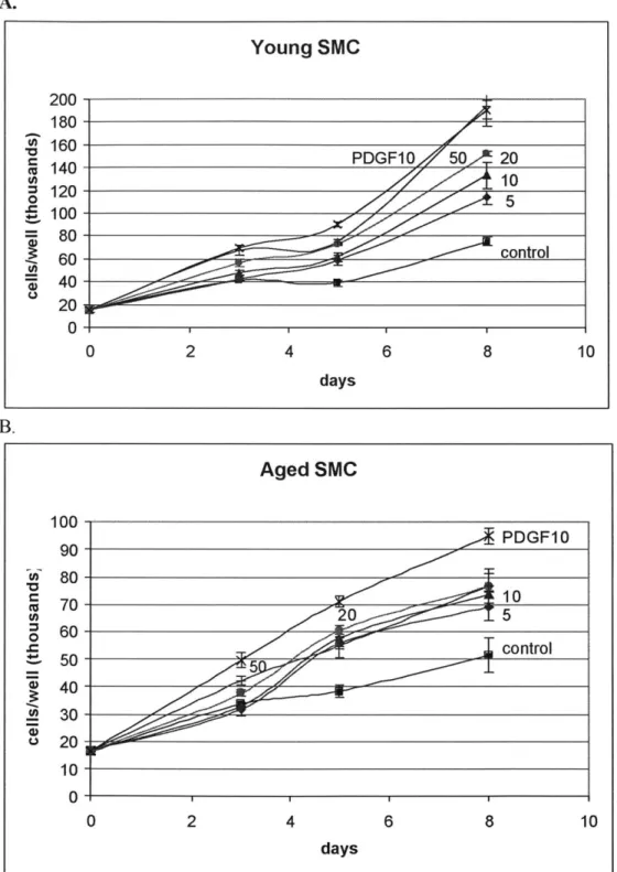 Figure 2.8  FGF-2 dosage response in young and  aged SMC.  These two dosage responses track
