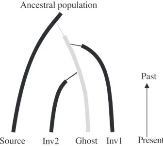 Fig. 4 Graphical representation of an invasion scenario in which an introduced ghost population, i.e
