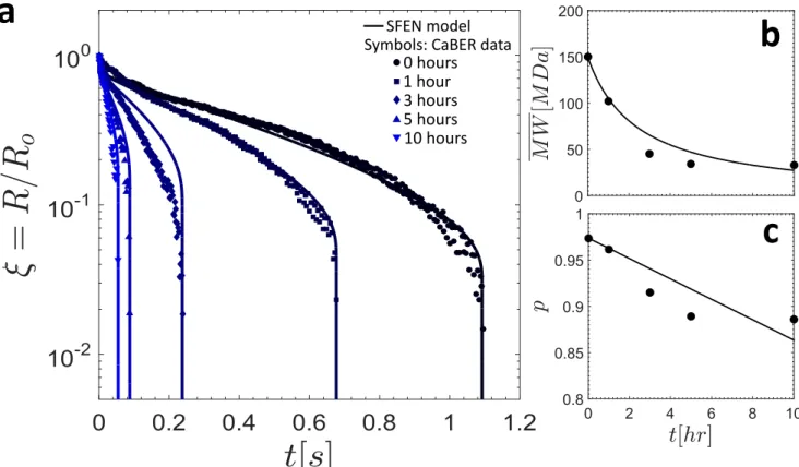 Figure 4. (a) Comparison of the SFEN model predictions with CaBER data for saliva at various sample ages