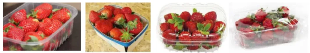 Figure 4: Four considered packaging options: Plastic not closed, Wood packaging, Plastic rigid lid, Plastic with plastic film.