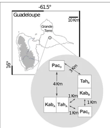 FIGURE 1 | The locations of Colletotrichum gloeosporioides sampling sites in Guadeloupe (French West Indies); The relative geographical positions of the six yam (Dioscorea alata) fields are represented in the gray circle