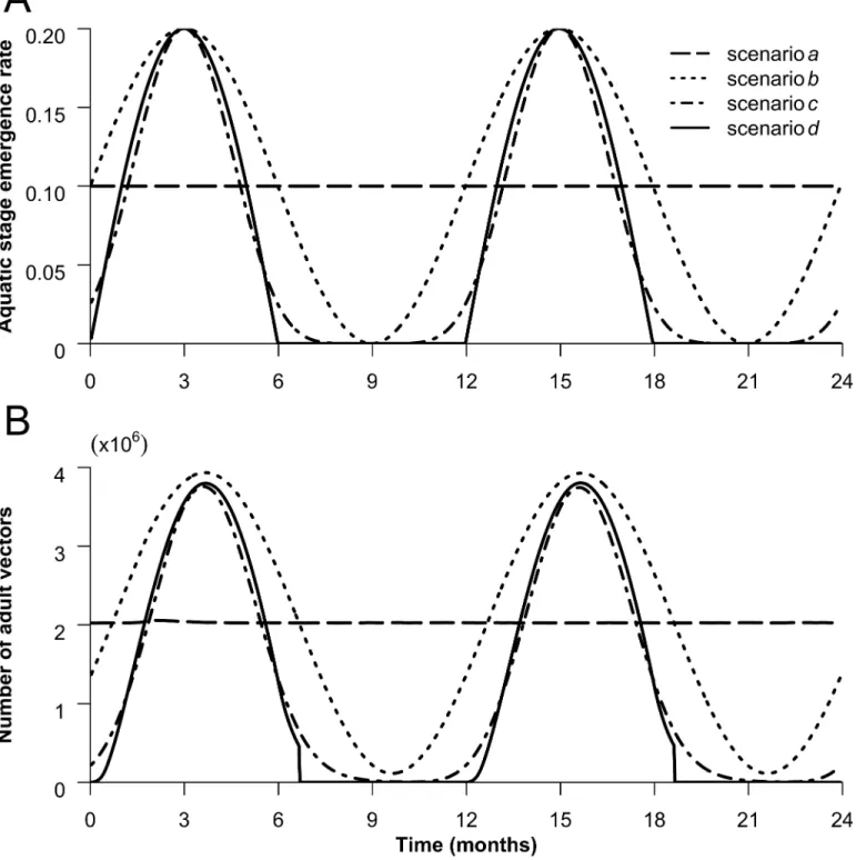 Fig 2. Aquatic stage emergence rate (A) and adult vector population patterns (B). The 4 lines represent the value taken by the emergence rate φ (t) and the adult vector population (N V ) over time for each seasonality scenario