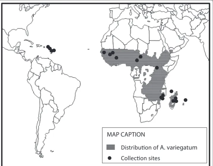 Figure 1 Location of the Amblyomma variegatum samples used for the worldwide phylogeographic study