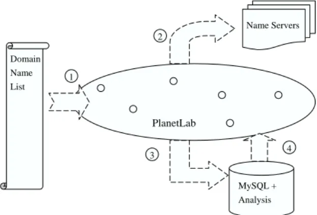 Fig. 8. DNS diagnosis experiment setup.