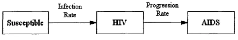 Figure  4.1 Typical  SIR  Compartments