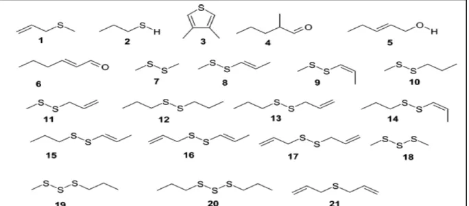Figure 3 : Structure chimique des certains composés d’Allium ursinum détecté par GC-MS 1,  methyl 2-propenyl sulfide; 2, propylthiol; 3:dimethylthiophene 4, 2-methylpentanal; 5, 
