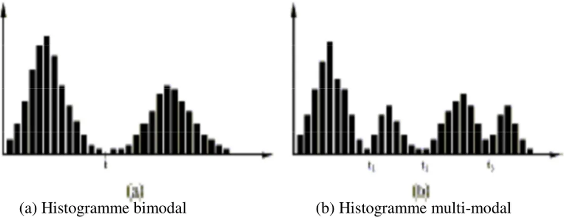 Figure II.2 : Exemples d’histogrammes  