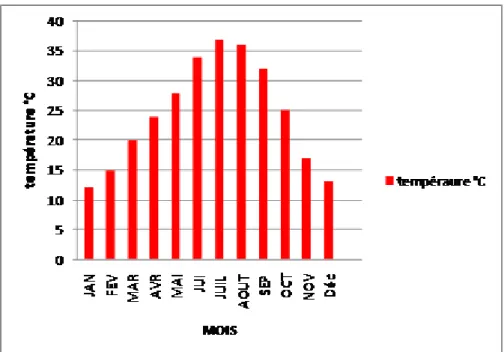 Fig. IV.10: Profil de température ambiante annuelle.