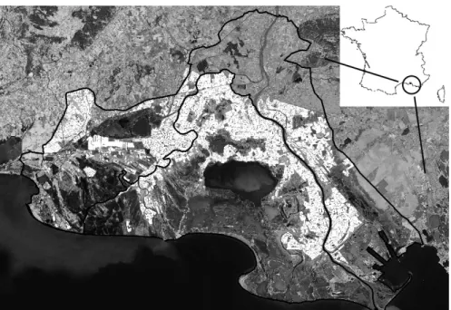 Figure 1. The Camargue Region. In black the limits of Biosphere Reserve. In white, all fields annually culti- culti-vated and considered in the study for scenario assessment