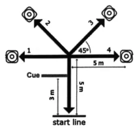 Figure  2.1  Reactive  agility  course  adapted  from  Sekulic  et  al  [9].  Athletes  received  verbal cues  at the  location  notated  and  touched  4  endpoint  cones  (30  cm  tall)  per  trial.