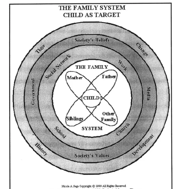 Figure 4: The Family System:  Child As  Target