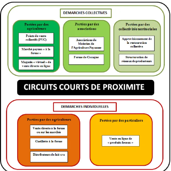 Figure 1 : Typologie des circuits courts de proximité à la périphérie des villes moyennes (réalisation C