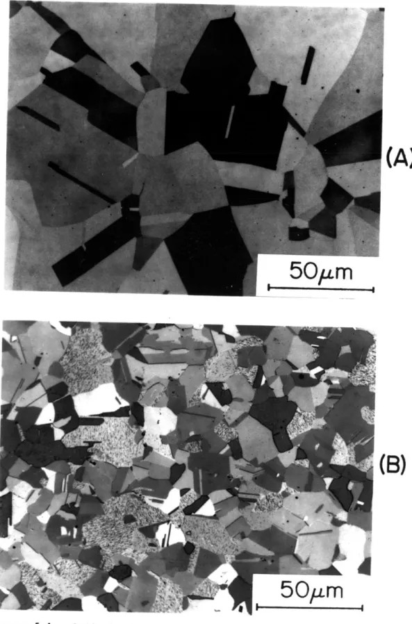 Figure  5-1.  Optical  micrographs  of  austenitic  Fe-25Ni-0.4C  (A) and  Fe-15Ni-1C  (B)