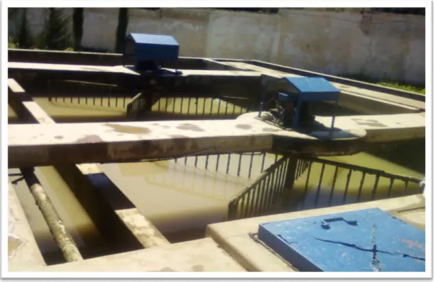 Figure 10 : Les bassins de floculation 