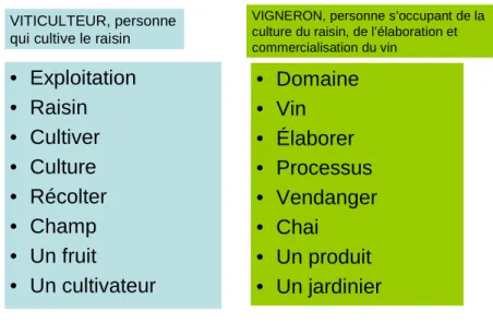 Tableau 1 : Deux catégories de plus en plus distinctes dans le Bergeracois : viticulteurs et vignerons  (Source : enquête de terrain, réalisation : G