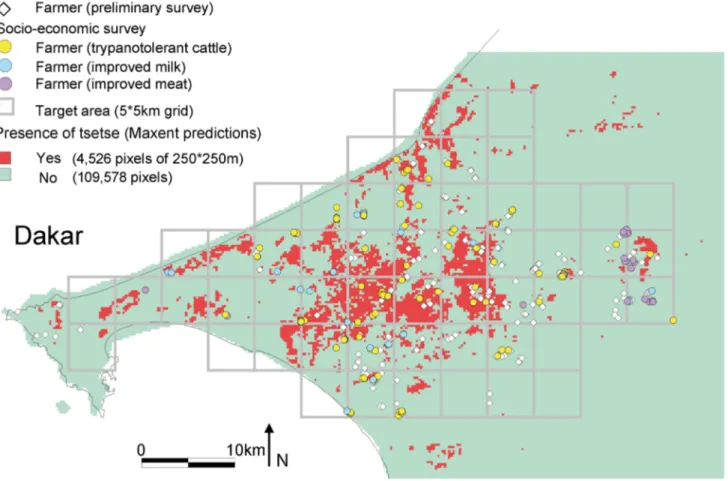 Figure 1. Location of the study area, between Dakar and Thie`s, Senegal. The grid corresponds to 5*5 km cells that were used to design the entomological sampling strategy during the feasibility study [14]