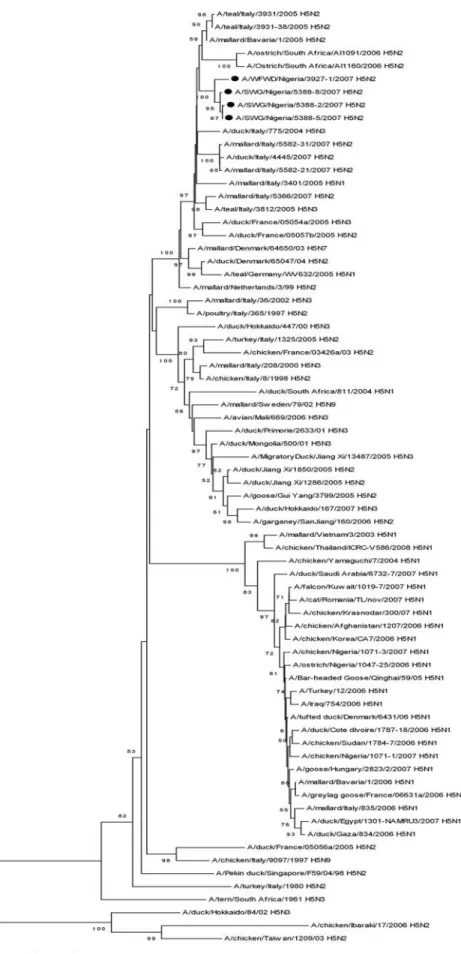 Figure 2. Phylogenetic tree based on the sequence analysis of the entire segment encoding for HA proteins, with representative H5N1, H5N2, and H5N3 influenza A viruses isolated in naturally infected wild and domestic birds in Asia, Europe, and Africa