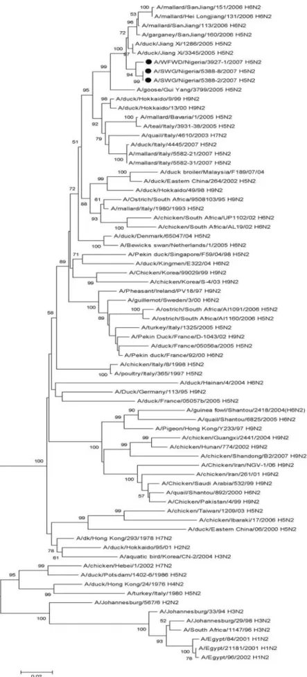 Figure 3. Phylogenetic tree based on the sequence analysis of the entire segment encoding for NA proteins