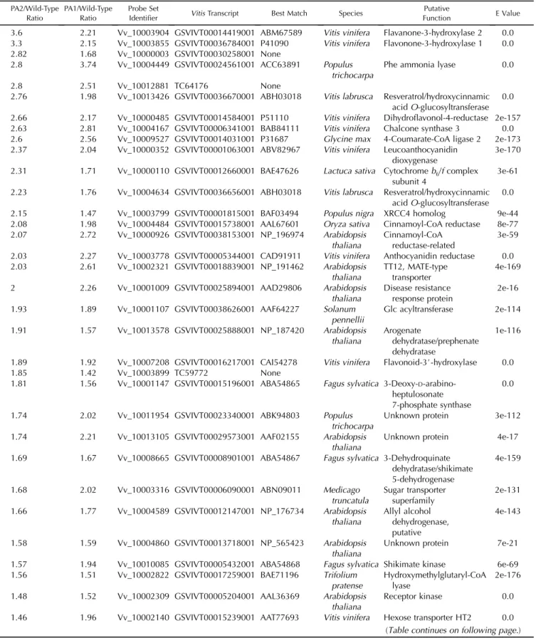 Table I. List of transcripts whose expression is induced after both VvMybPA1 and VvMybPA2 overexpression