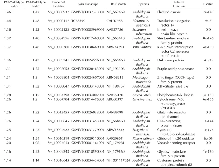 Table I. (Continued from previous page.) PA2/Wild-Type