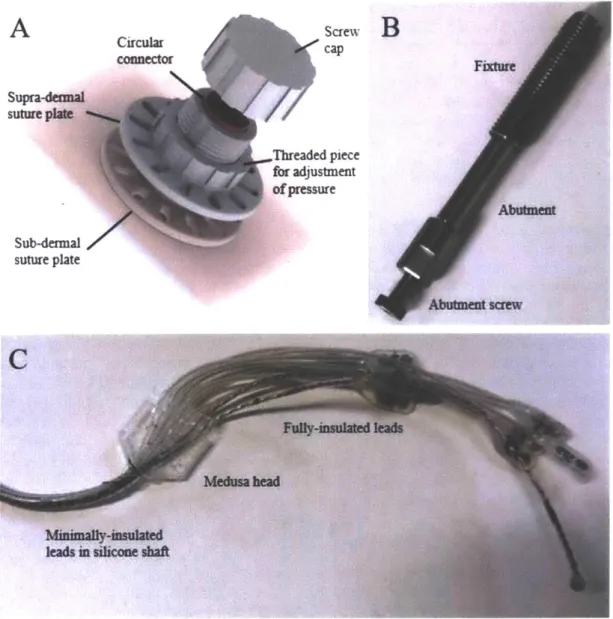 Figure  13: Implanted components.  (A) The custom 3d-printed percutaneous port developed for Goat TT  includes both a  sub-dermal  and a supra-dermal  suture  plate, which together compress the skin with  an  adjustable  pressure