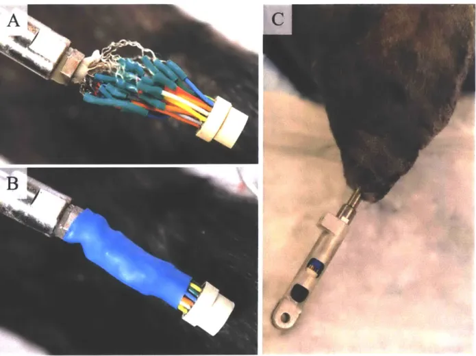 Figure  16:  Lead  management  in  osseointegrated  system.  (A)  Electrode  and  crystal  leads  are independently soldered to a  circular connector