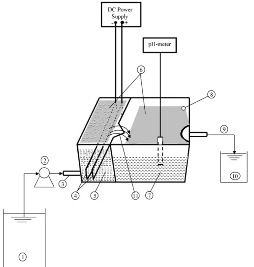 Fig. 1. Experimental setup of continuous EC cell (1: wastewater tank; 2: peristaltic pump; 3: inlet of the ﬁrst compartment; 4: electrodes; 5: ﬁrst compartment; 6: sludge;