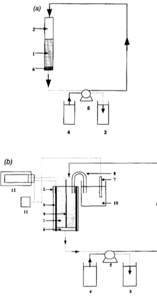 Fig.  2.  Schematic  experimental  systems.  (a)  electro-  sorption  process,  (b)  current  adsorption  process