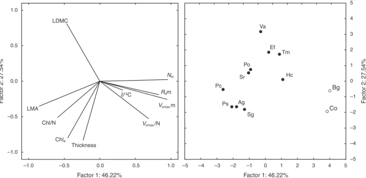 Fig. 2. Principal component analysis of the 12 rainforest tree species ordinated according to the mean value of 10 traits recorded under the highest relative irradiance level (20% relative irradiance, I 20 )