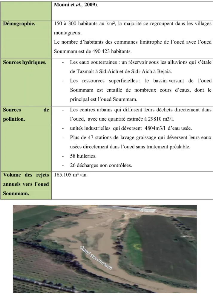 Figure 01 : Image aérienne du bassin versant d’oued Soummam (Google Earth, 2020). 