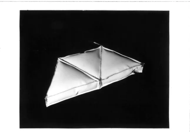 FIGURE  XIII,  PHOTOGRAPH  OF  MODE.L,  TEST  6