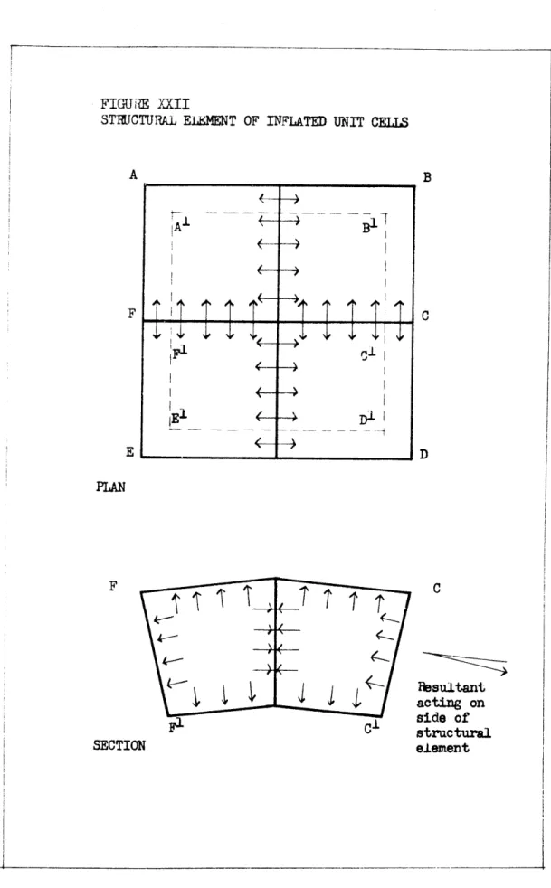 FIGURE  XXII