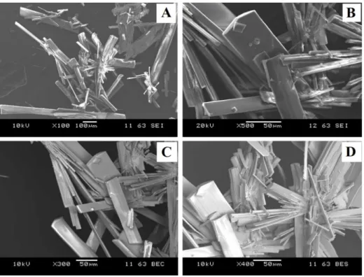 Fig. 8. SEM images of adeninium orthoperiodate (1−) bis (hydrate) compound. (A) and (B)  by secondary electrons, (C) and (D) by back-scattered electrons 