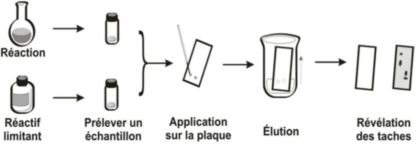 Figure 2 : les étapes de préparation d’une plaque CCM  II. La spectroscopie infrarouge : 