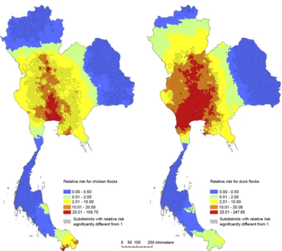 Figure 2. Relative risk of HPAI H5N1 for chicken and duck ﬂocks in Thailand from 3 July 2004 to 5 May 2005