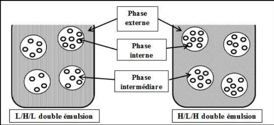 Figure II.7 : Emulsion multiples. 