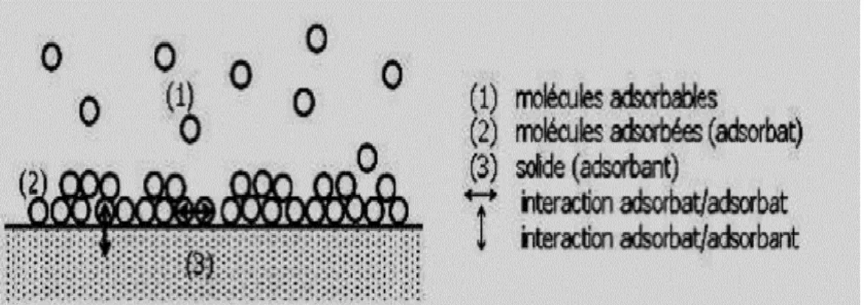 Tableau II.1 : Principales différences entre l'adsorption physique et l'adsorption chimique