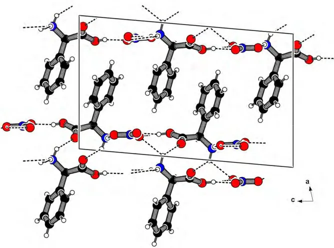 Figure 2.6. Le réseau de liaisons hydrogène dans le composé BIDPHGLYN 