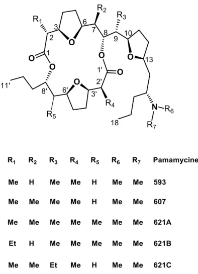 Figure I. 02 : Structure des Pamamycines. 