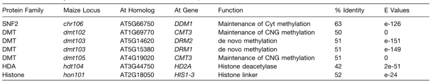 Table 1. BLAST Analysis of Selected Maize CMEs with the Arabidopsis Protein Database