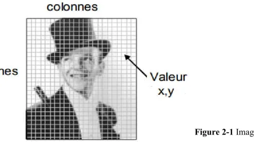 Figure   2-1 Image Numérique 
