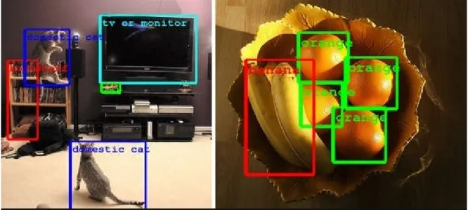 Figure  2-4 Reconnaissance des formes  (52)