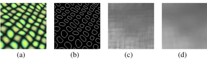 Fig. 4 Calculate texel scales from given slant and tilt angles. (a) Input texture. (b) Scale map calculated from given projective angles with slant = 46 ∘ and tilt = 0 ∘ 
