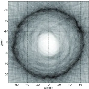 Figure 6. Reflection-UCT of a spruce (Picea abies) sample with cen- cen-tered artificial decay, ultrasonic reflection sinogram.